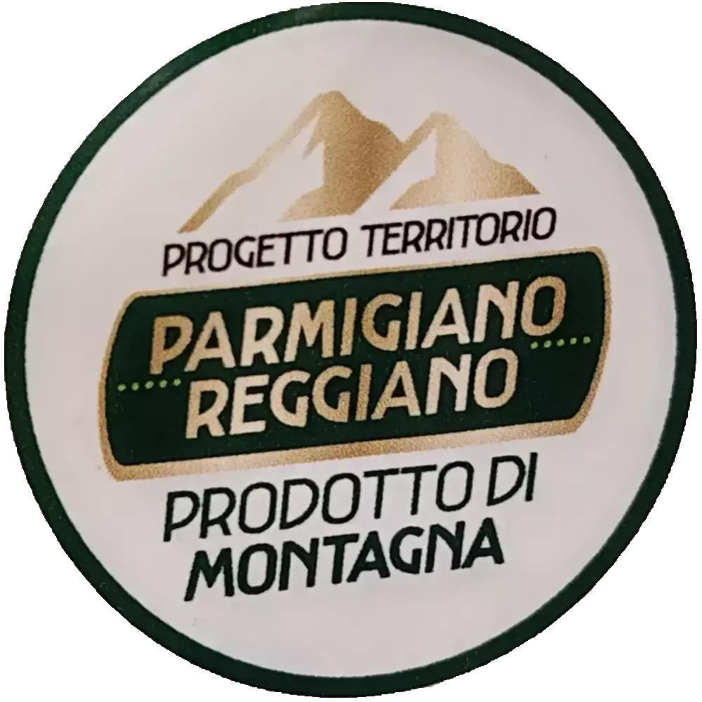 Miniatura 13